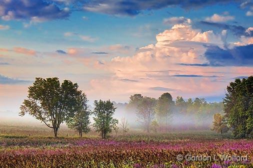 Landscape At Sunrise_20454.jpg - Photographed near Smiths Falls, Ontario, Canada.